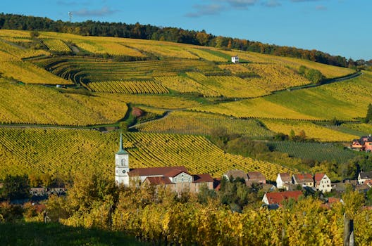 Elite Vineyard Villas in France Alsace Countryside Bliss