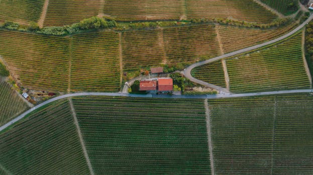 Enchanted Vineyard Estates in Italy Piedmont Countryside Grandeur