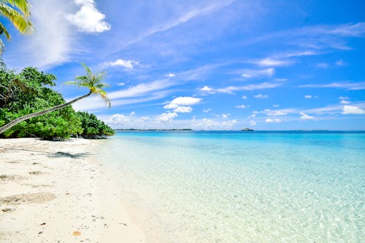 Radiant Lagoon Hotels in Maldives Meemu Ocean Grandeur