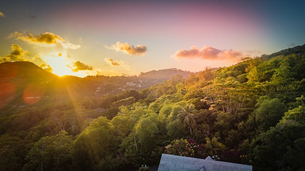 Splendid Coral Resorts in Seychelles Bird Island Serenity